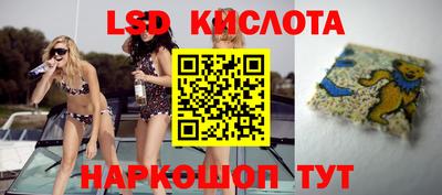 ПСИЛОЦИБИНОВЫЕ ГРИБЫ Коммунар